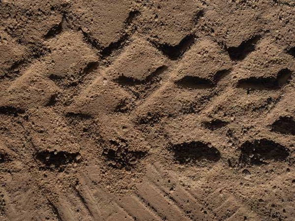 Textured cement finish