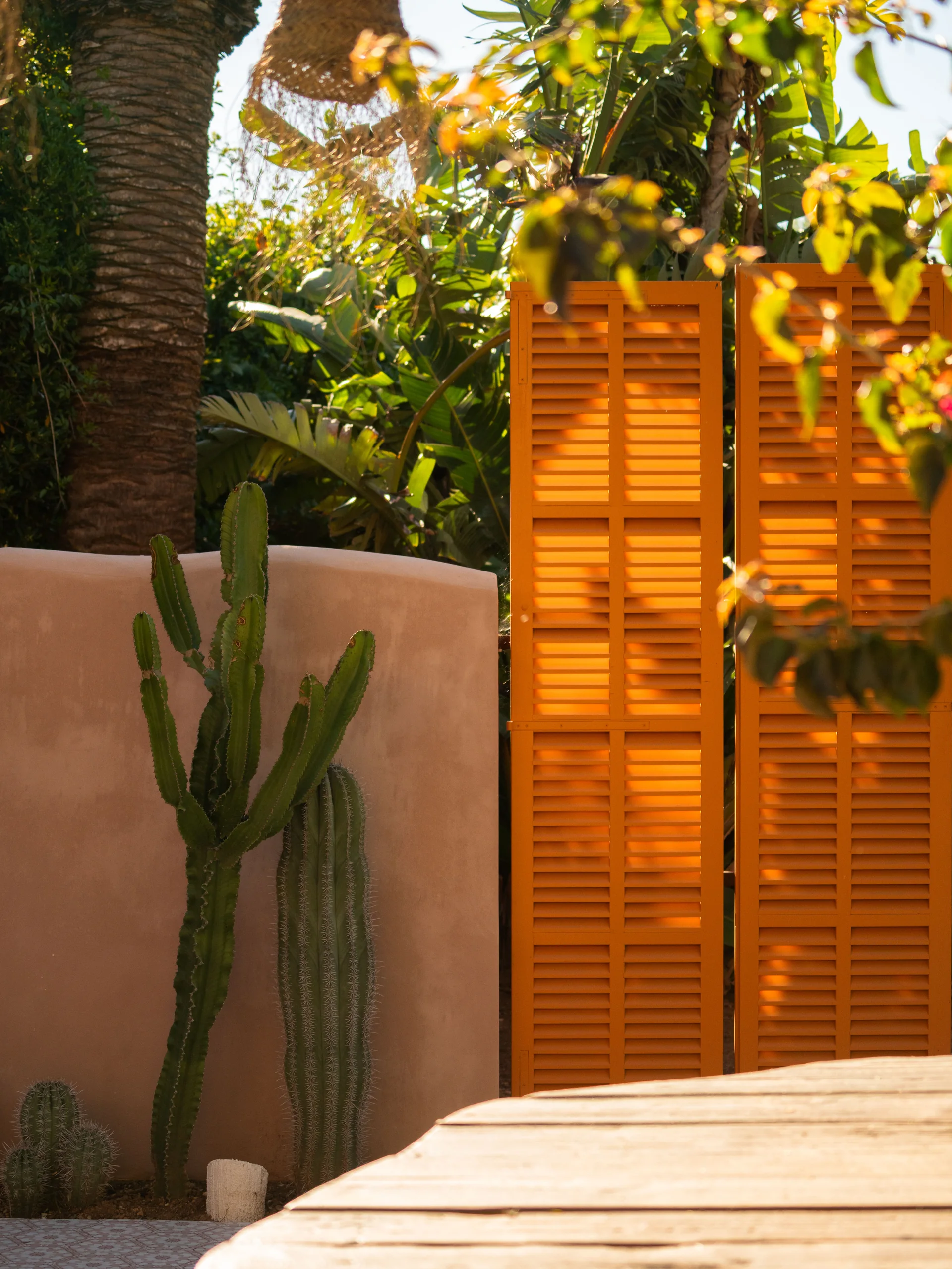 Garden with cactus and orange shutters in Mallorca